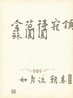 含苞待宠镇国公苏圆圆