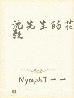 沈先生的花式管教