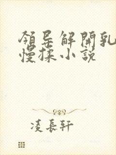 领导解开乳罩慢慢揉小说