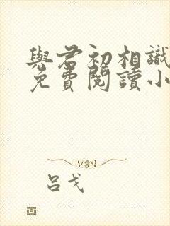 与君初相识全文免费阅读小说封面