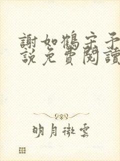 谢如鹤宋予朵小说免费阅读最新章节