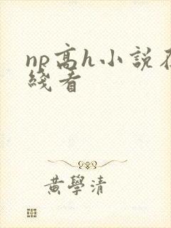 np高h小说在线看