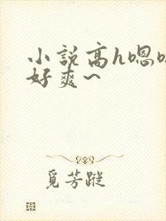 小说高h嗯嗯~好爽~