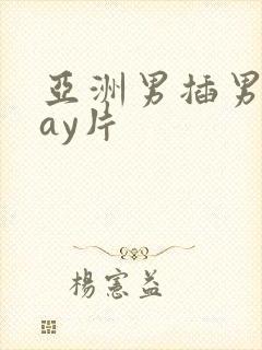 亚洲男插男同gay片