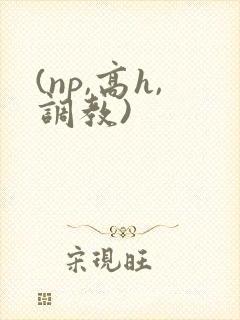 (np,高h,调教)