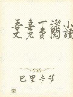 吾妻丁洁小说全文免费阅读最新章节封面