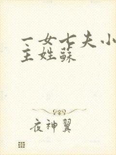 一女七夫小说女主姓苏封面