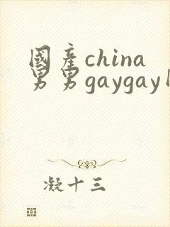 国产china男男gaygay网站