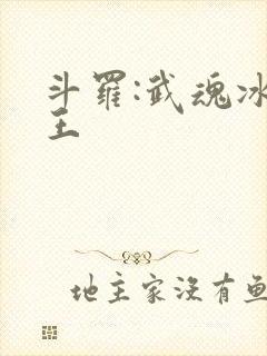 斗罗:武魂冰龙王