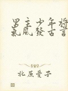男主少年将军意气风发古言