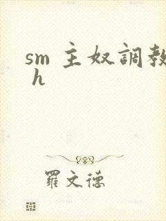 sm 主奴调教 h