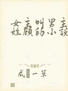 女主叫男主叔叔姓顾的小说