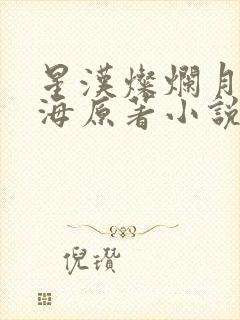 星汉灿烂月升沧海原著小说免费阅读封面