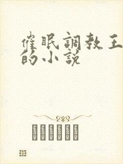 催眠调教王心凌的小说