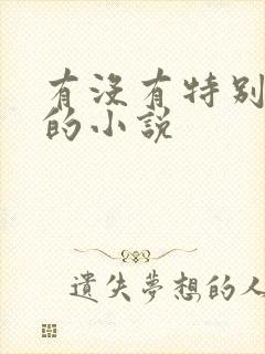 有没有特别好看的小说