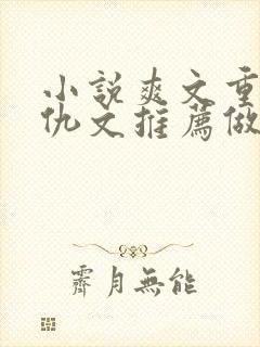 小说爽文重生复仇文推荐做女主