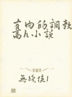 有肉的调教np高h小说