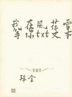 我在风花雪月里等你txt文本