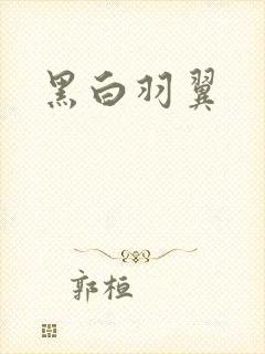 黑白羽翼封面