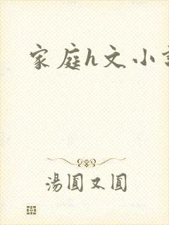 家庭h文小说封面