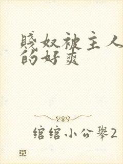 贱奴被主人调教的好爽封面