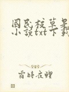 国民校草是女生小说txt下载封面