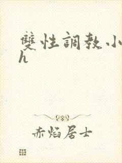 双性调教小说高h