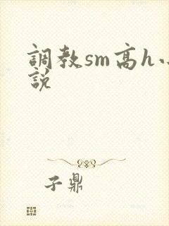 调教sm高h小说
