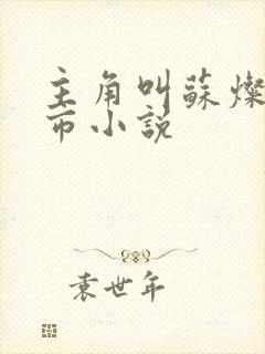 主角叫苏灿的都市小说封面