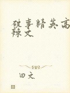 破事精英高h肉辣文封面