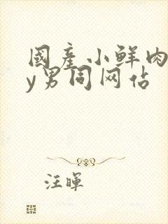 国产小鲜肉gay男同网站