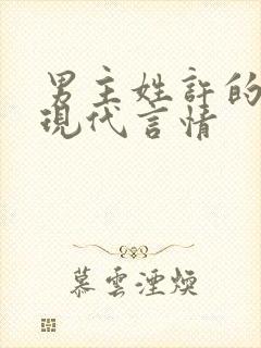 男主姓许的小说现代言情