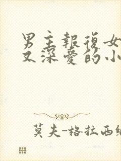 男主报复女主却又深爱的小说封面