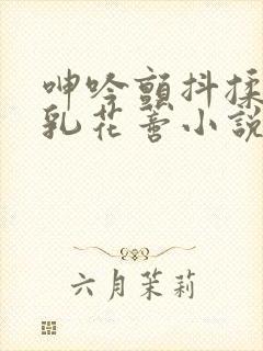 呻吟颤抖揉捏娇乳花蒂小说