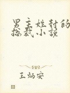 男主姓封的霸道总裁小说