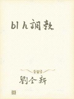 bl h调教