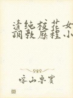 清纯校花女友的调教历程小说