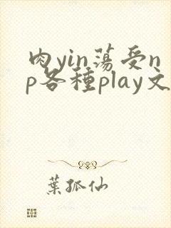 肉yin荡受np各种play文