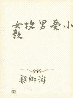 女攻男受小说调教