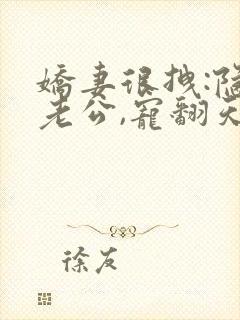 娇妻很拽:隐婚老公,宠翻天