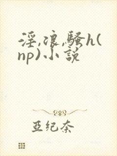 淫,浪,骚h(np)小说封面