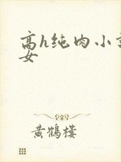 高h纯肉小说父女