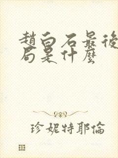 赵白石最后的结局是什么封面