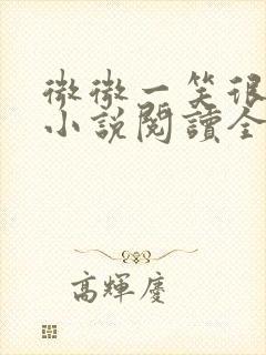 微微一笑很倾城小说阅读全文