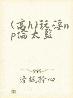 (高h)玩淫np伦太监