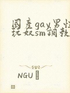 国产gay男性玩奴sm调教小蓝封面