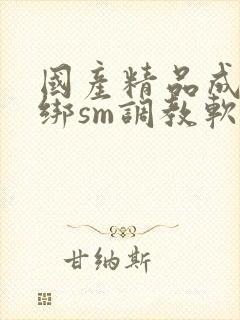 国产精品成人捆绑sm调教软件