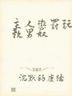 主人惩罚玩弄调教男奴封面