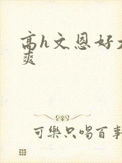 高h文恩好大好爽