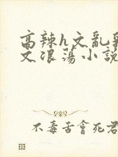 高辣h文乱乳h文浪荡小说苏瑾瑶